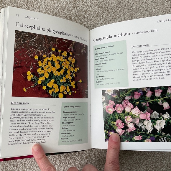Annuals Pocket Guide - Picture 4 of 4